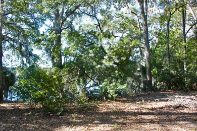 rear of lot