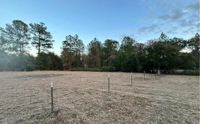 145 NW Madeliene Terrace, Lake City, FL 32055 - photo 3