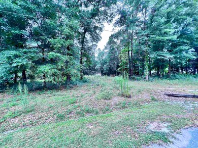 136 Fontaine Cir, Crawfordville, FL 32327 - photo 7