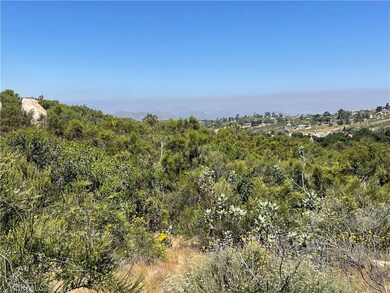 0 Tanager Way unit SW24111989, Hemet, CA 92544 - photo 2