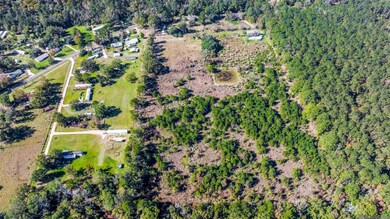 26848 S Satsuma Rd, Livingston, LA 70754 - photo 5