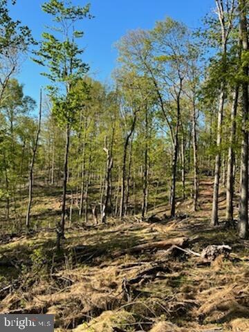 0 Magnolia unit WVMO2001622, Paw Paw, WV 25434 - photo 3