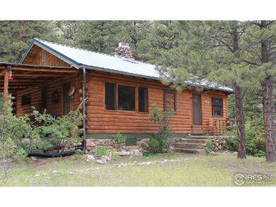 189 Profile Rock Rd, Bellvue, CO 80512 - photo 4