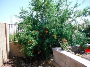 DSCF0138