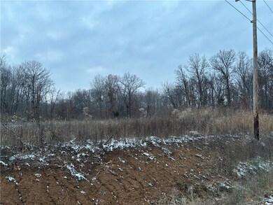 0 Kings Hill Rd, Sumner, IL 62466 - photo 7