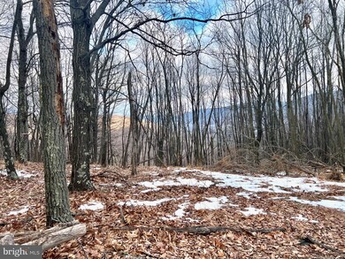 0 Laurel Dale Ridge Section unit WVGT2000170, Maysville, WV 26833 - photo 7