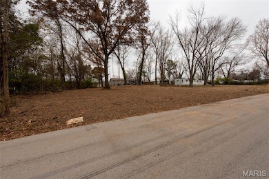 Meramec St. W Meramec St, Pacific, MO 63069 - photo 4