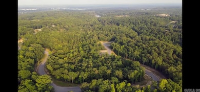 Lot 11 Smokey Ridge Rd, Benton, AR 72019 - photo 3