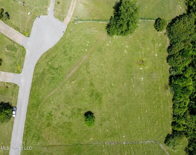 DJI_0524
