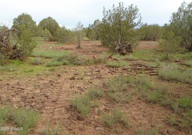 1802 Cumberland Rd, Williams, AZ 86046 - photo 6