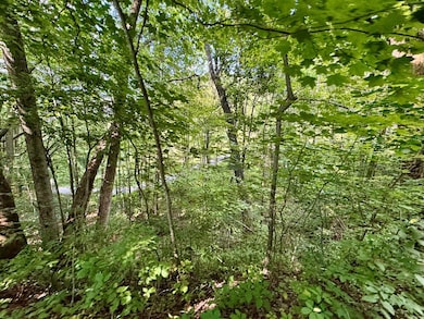 0 Williams St, Bluefield, VA 24605 - photo 3