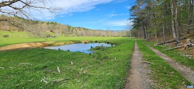 162 Tims Draft Ln, West Augusta, VA 24485 - photo 3