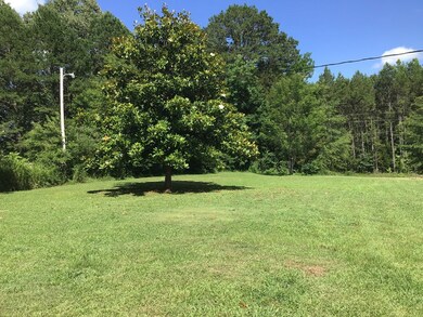 408 Cr 425, Oxford, MS 38655 - photo 6