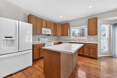 93 Arapahoe Basin Ct, O Fallon, MO 63368 - photo 7