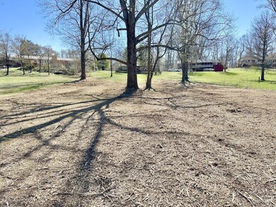 42 Hillwood Cir, Manchester, TN 37355 - photo 5