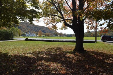 3044 Vt Route 153, West Pawlet, VT 05775 - photo 7