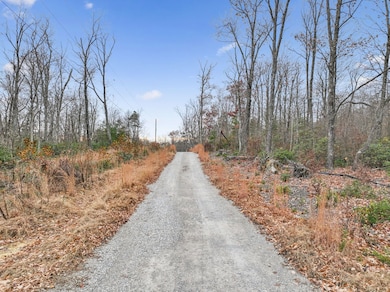 233 Crestview Ln, Sparta, TN 38583 - photo 6