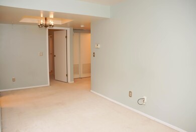 Living & Dining Room