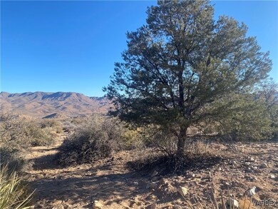 00 Jarvis Way, Hackberry, AZ 86411 - photo 7