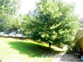 83 Odonald Rd, Asheville, NC 28806 - photo 3