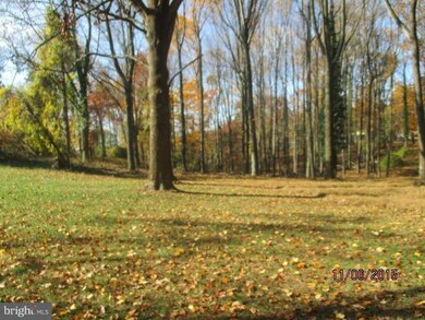 21386 Potomac View Rd, Sterling, VA 20164 - photo 4