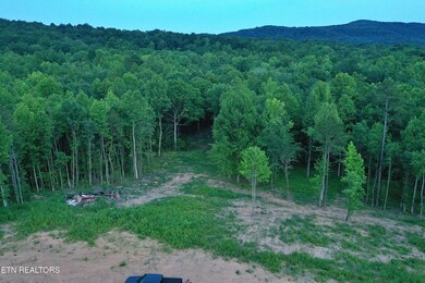 DJI_0600