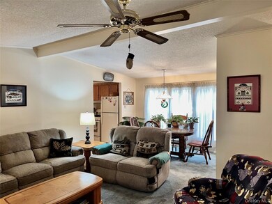 105 N Mountainview Mh, Stony Point, NY 10950 - photo 4