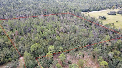 TBD Strickland Landing Dr, Perry, FL 32348 - photo 4