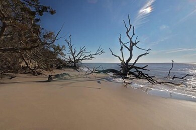 Private Beach Access