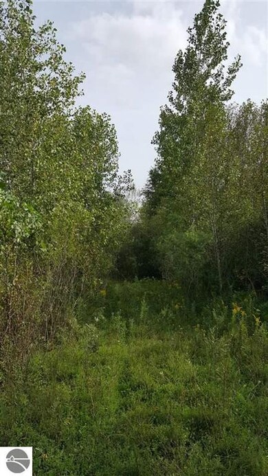 0 Turtle Rd, National City, MI 48748 - photo 4