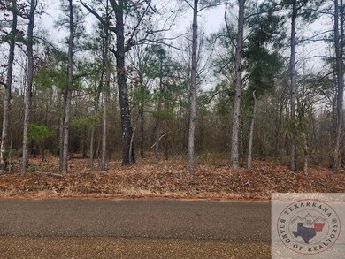 TBD Hagler Ln, Texarkana, TX 75501 - photo 2