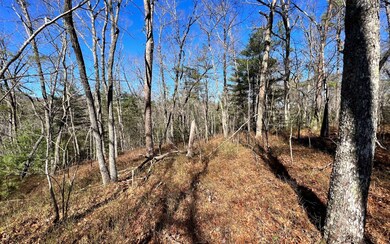 Additional View
