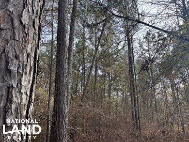 0 Ms Hwy 12 W, Starkville, MS 39759 - photo 5