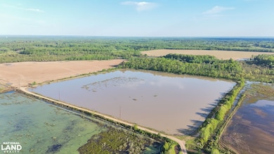 0 Daniel Glover Rd, Lonoke, AR 72086 - photo 4