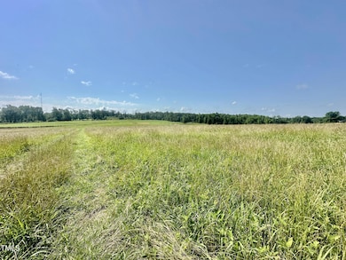 Lot 1 Jones Rd, Hurdle Mills, NC 27541 - photo 5