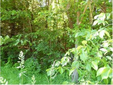 0 Route # 124~buckfield Rd unit 1141549, Hebron, ME 04238 - photo 5