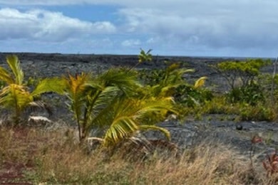 12-5370 Ohana Rd, Pahoa, HI 96778 - photo 4