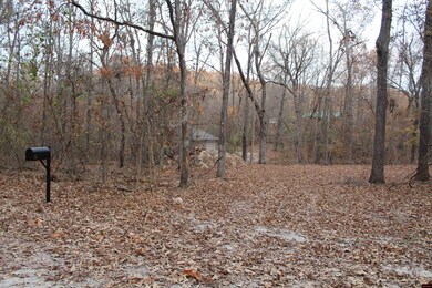 63 Flintridge Ct, Mountain Home, AR 72653 - photo 4