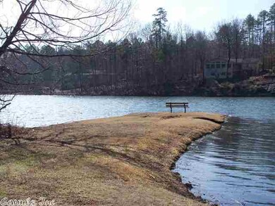 View from across the lake.