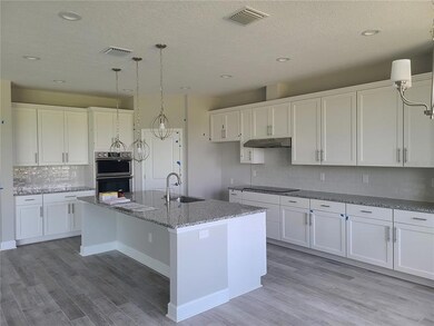 5215 Lake Orta Way, Wimauma, FL 33598 - photo 5