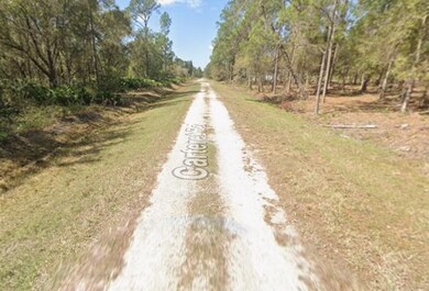 431 Carteret Rd, Georgetown, FL 32139 - photo 4