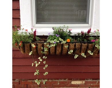 4 Prospect St unit 1, Merrimac, MA 01860 - photo 5