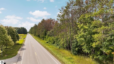 0 Maple City Hwy unit A, Lake Ann, MI 49650 - photo 6