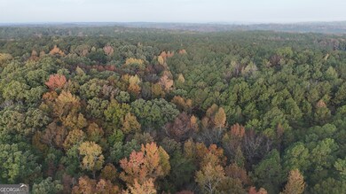 TRACT 2 Dennis Creek Rd, Talbotton, GA 31827 - photo 6