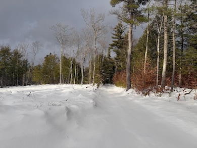 000 Dwinell Rd unit 534502, Troy, NH 03465 - photo 4