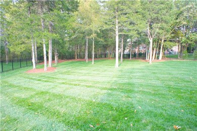 This is the view from the back patio which shows the new iron fence and private tree line~  There is a irrigation system for all flower 