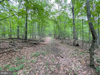 Lot 3 Independence Ln, District 1, VA 22844 - photo 2
