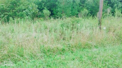 1216 White Ave, Shelby, NC 28150 - photo 5