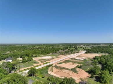 Lot 14 Dubois Rd, Poolville, TX 76487 - photo 3