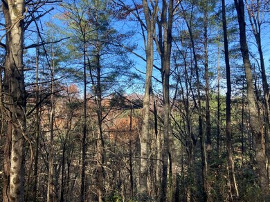 0 Lot # 3 Panther Creek Properties, Almond, NC 28702 - photo 5